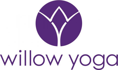 Visit Willow Yoga Studio